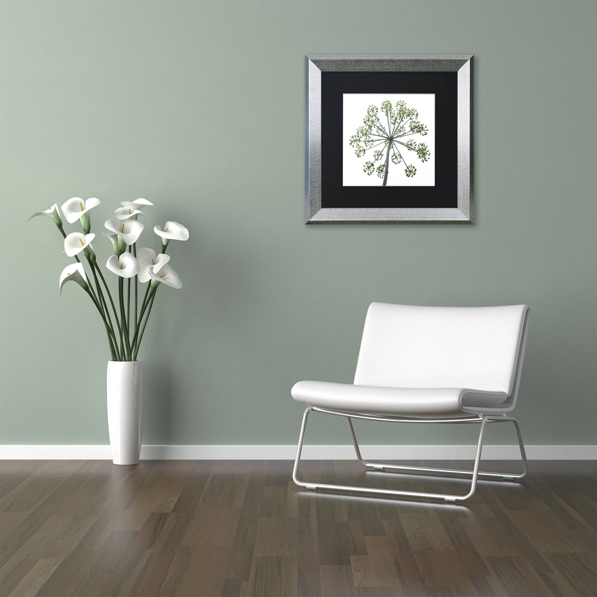 Trademark Fine Art "Nature's Amazing Wonder" Canvas Art by Kurt Shaffer, Black Matte, Silver Frame