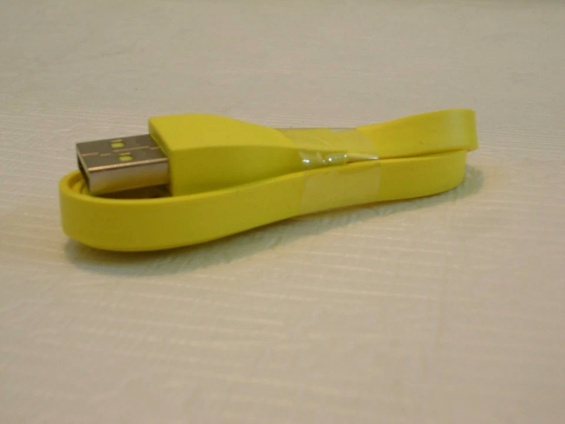 CIRCLE- LOGITECH Ultimate Ears UE ROLL, ROLL 2 Speaker PC/DC charger Micro USB Cable 2ft