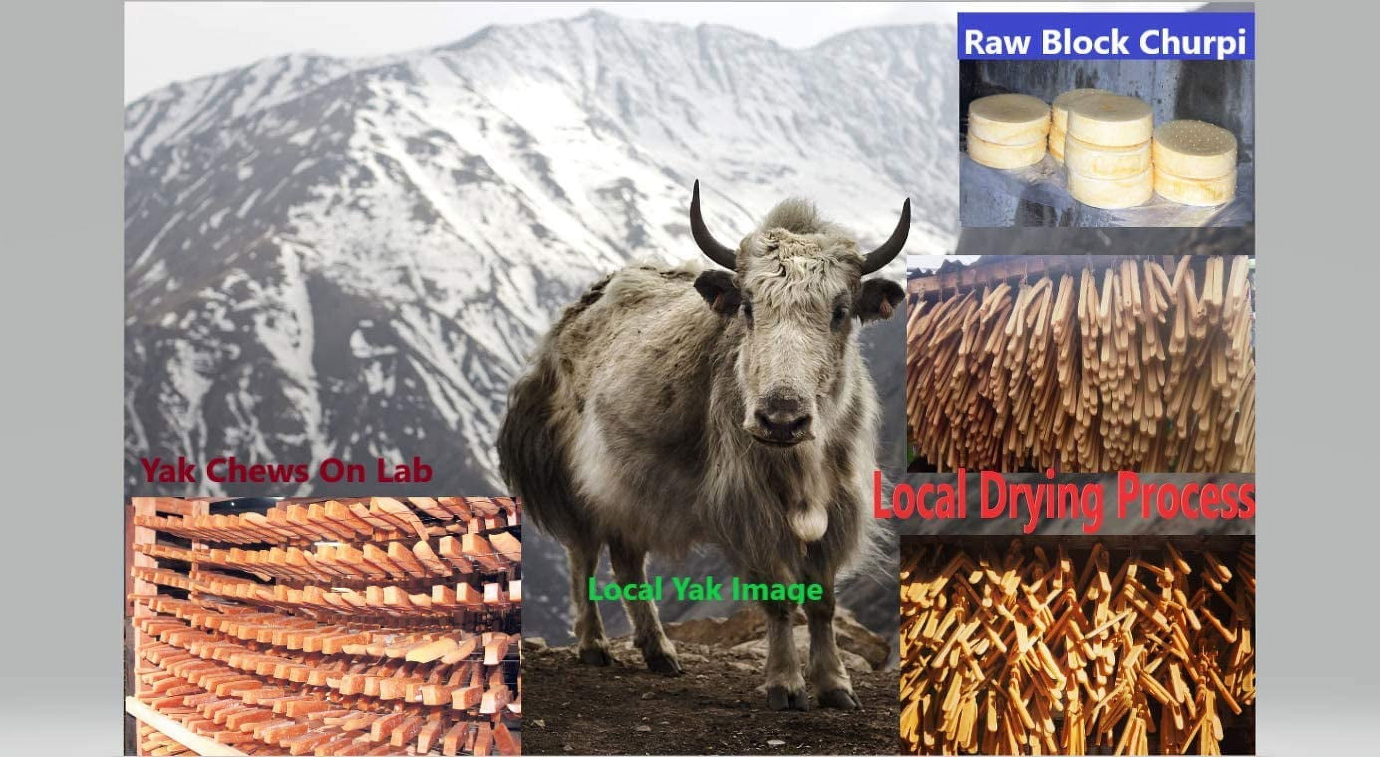 Snow Hill Himalayan Yak Cheese Dog Chews Best Fit Large Dog Below 40 lbs, Long Lasting Odor Stain Gluten GMO Free Protein-Rich Yak Golden Cheese Bone Treat Improved Oral Health - Made In Himalayas, Ne