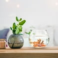 thumbnail image 2 of Shisuyan 3Pcs Household Fish Tank Desktop Fish Tank Plastic Fish Tank Globe Fish Bowl Office Desk Fish Tank, 2 of 9