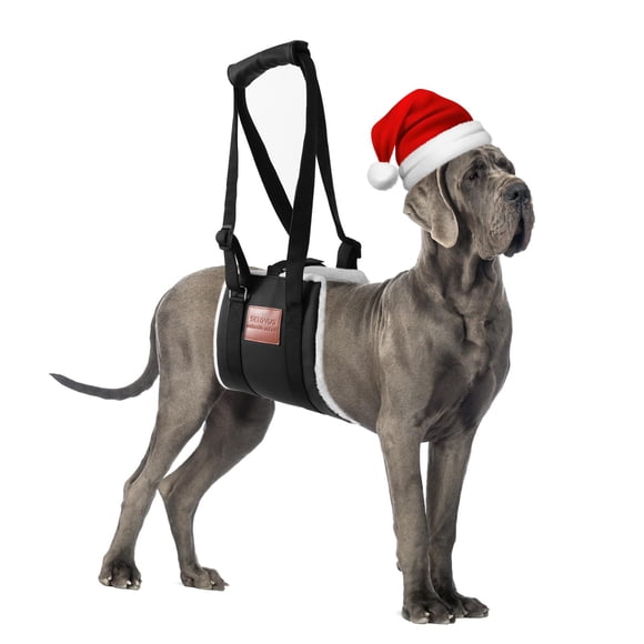 Arnés elevador de perros S-ETOVUS para soporte de patas traseras negro (L)
