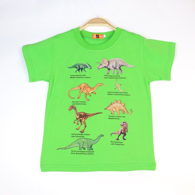 Camisetas de dibujos animados para niños, camiseta con estampado de dinosaurio para niños, camiseta de manga corta de verano para niños, camisetas de algodón, ropa de 3 a 8 años 4T Gao Jinjia LED