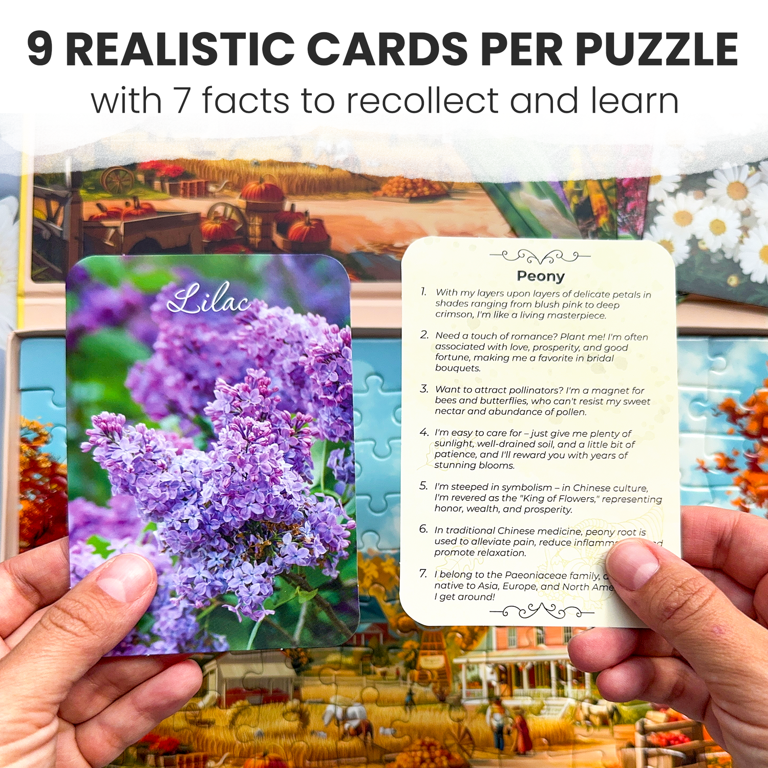 Quokka Dementia Products for Elderly - Large Piece Puzzles for Seniors - Alzheimers Activities