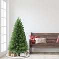 thumbnail image 2 of 4.5 ft Virginia Pine Tree 316 Tips, 2 of 2