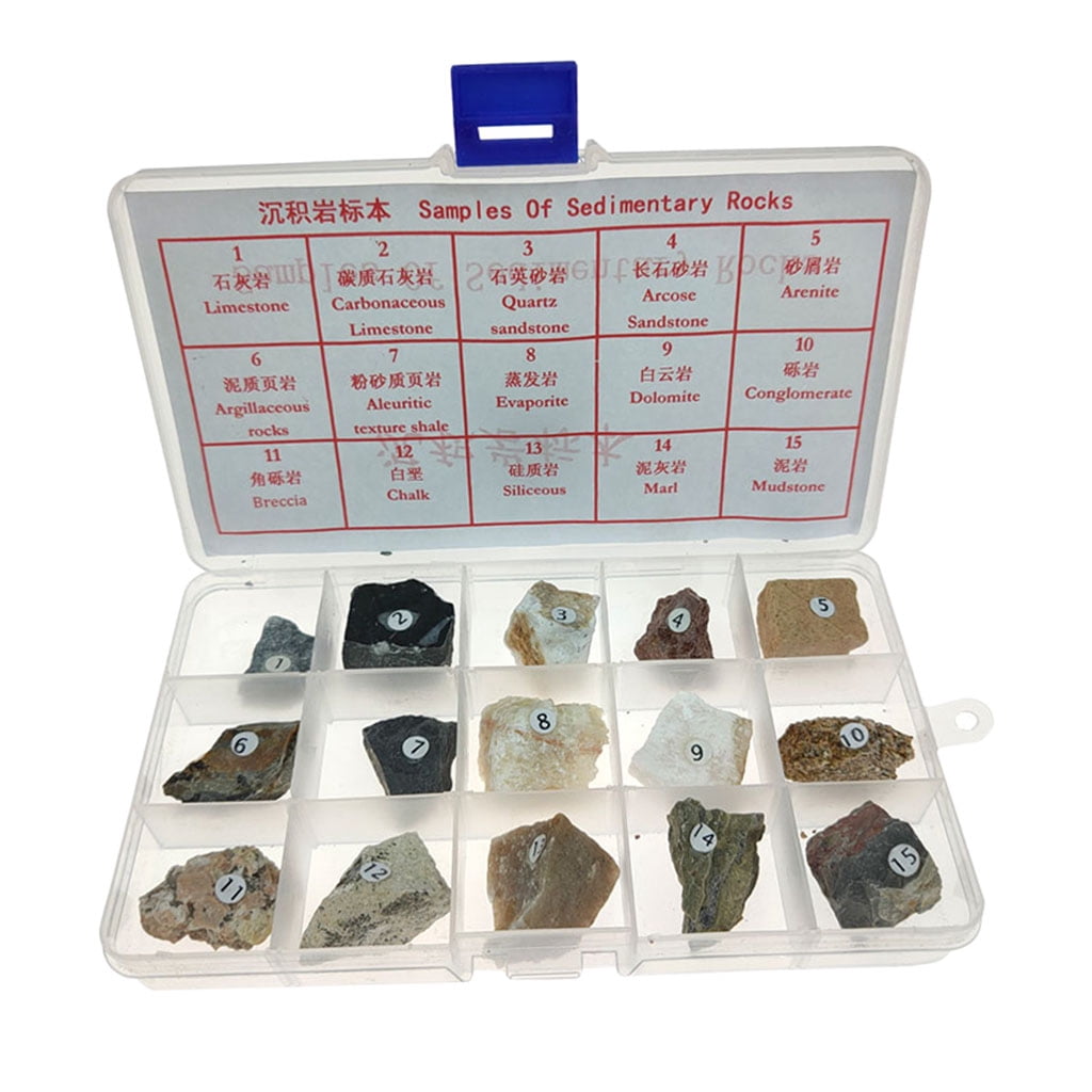 Sedimentary Rock Collection Real Stone Teaching Aid Supplies W Box Walmart Com