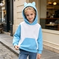 thumbnail image 2 of Likimi Child Toddler Girls Hoodies With Pocket Color Block Hooded Sweatshirt For Girls Long Sleeve Everyday Wear Fashion Pullover Size 2-3 Years, 2 of 6