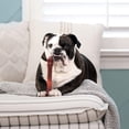 thumbnail image 2 of Juguete masticable Nylabone Textured Bone Power para perros de talla XL, 2 of 9
