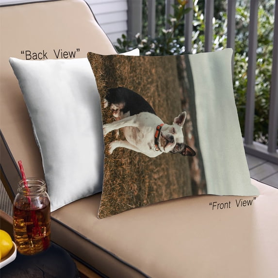 Ahgly Company Dogs Bulldog Outdoor Throw Pillow, 18 inch by 18 inch