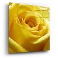 thumbnail image 2 of Epic Art 'Yellow Rose' by Photoinc Studio, Acrylic Glass Wall Art, 24"x24", 2 of 9