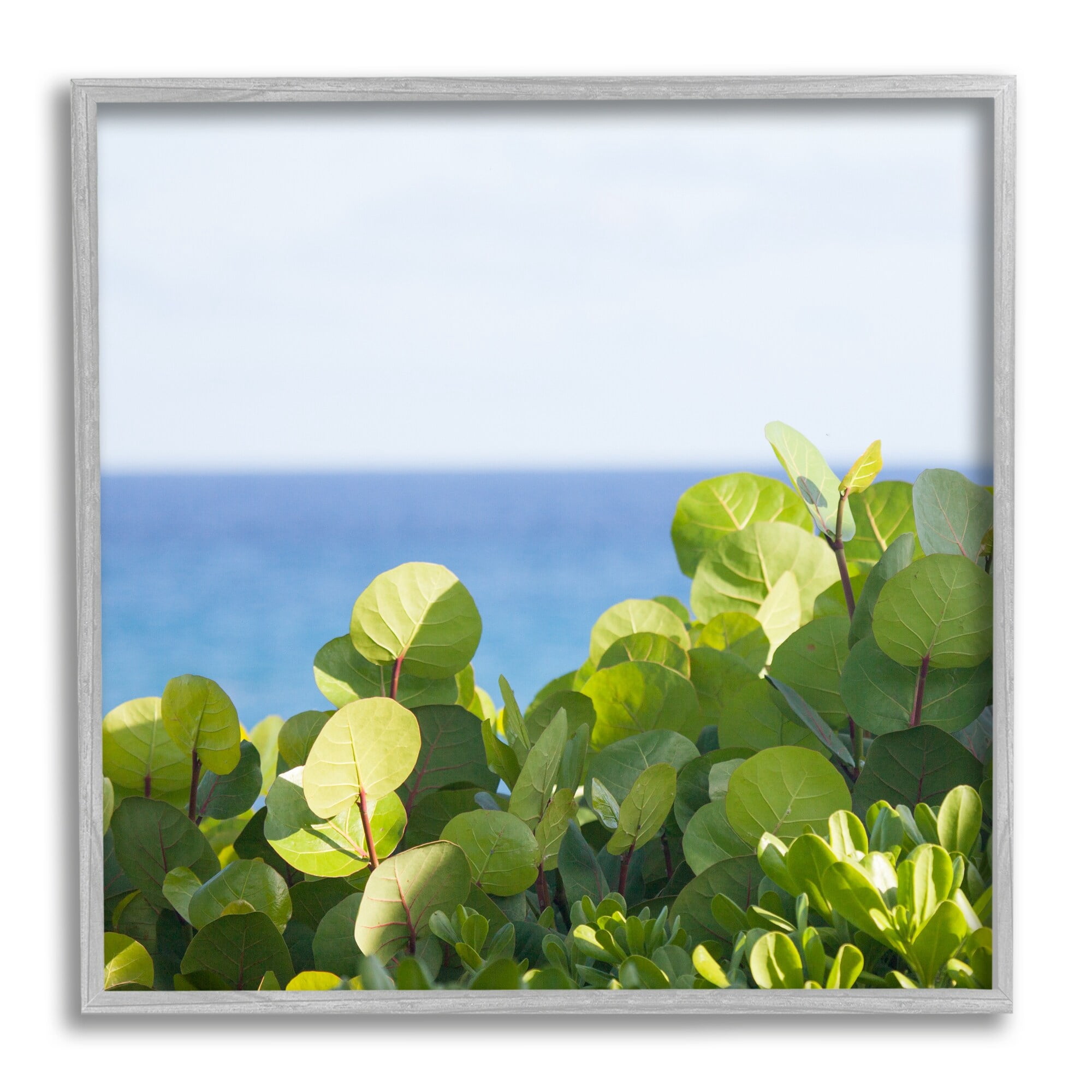 Stupell Industries Lush Greenery Plants Distant Beach Ocean Water Photograph Gray Framed Art Print Wall Art, Design by Michael Quackenbush