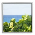 thumbnail image 4 of Stupell Industries Lush Greenery Plants Distant Beach Ocean Water Photograph Gray Framed Art Print Wall Art, Design by Michael Quackenbush, 4 of 5