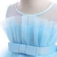 thumbnail image 4 of Generic Baby Girls Fashion Flower Dress Cute Princess High Low Hem Waisted Tutu Tulle Dresses Holiday Ballgown for 2-11 Years, 4 of 6