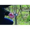 thumbnail image 6 of Summit Pruning Shears (F 17) - High Performance Swiss Made Left-Handed One-Hand Garden Pruner with Steel Blade, 6 of 16