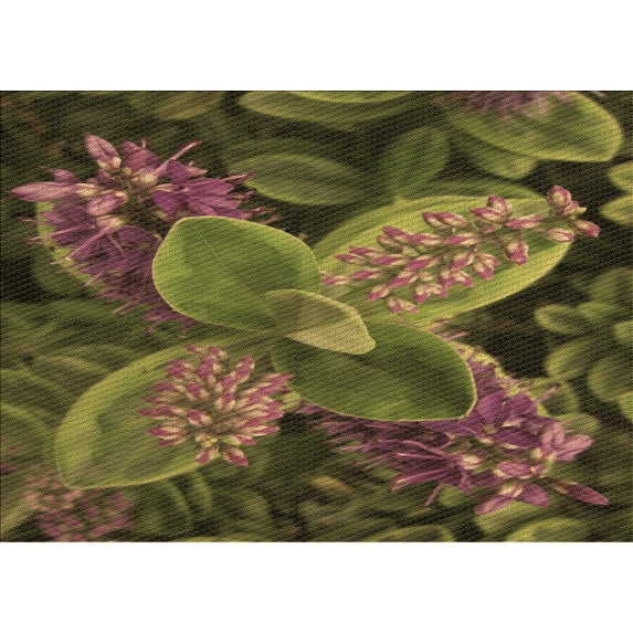 Ahgly Company Indoor Rectangle Patterned Bakers Brown Area Rugs, 2' x 3'