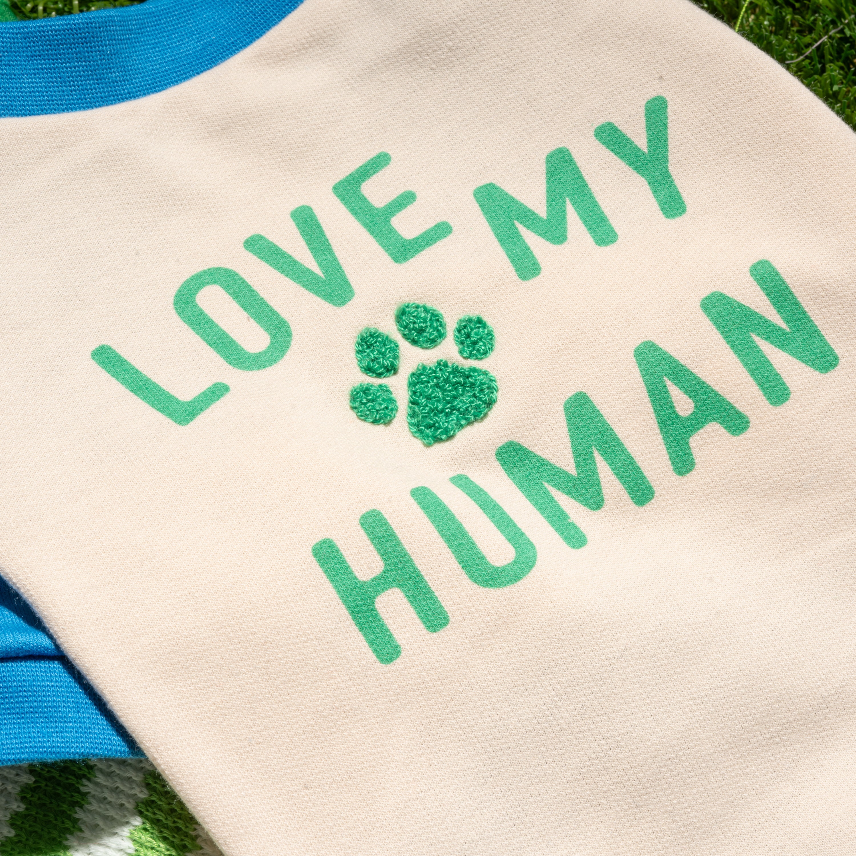 Oodles Blue Love My Human Spring Raglan Dog T-Shirt, Small