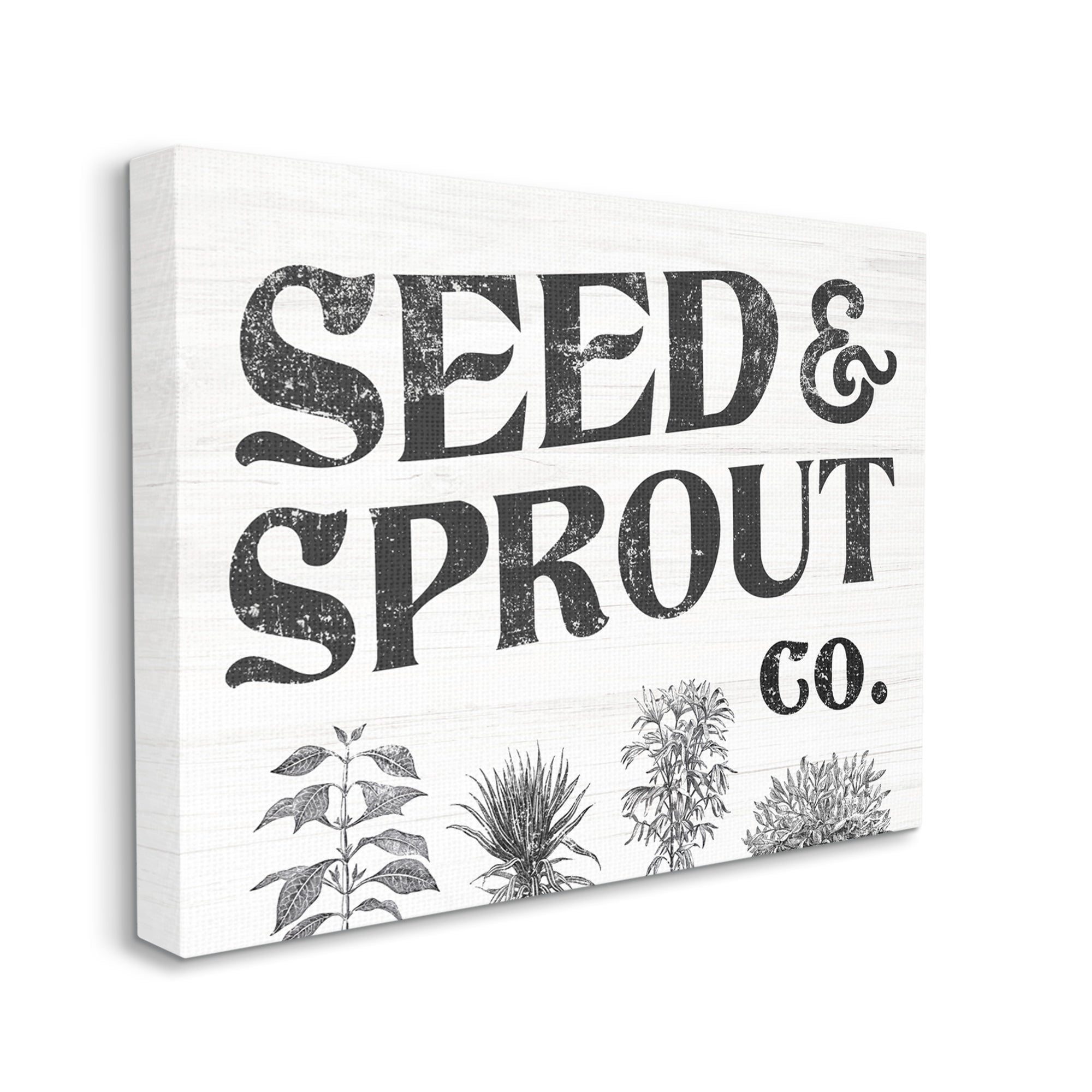 Stupell Industries Seed & Sprout Antique Botanicals Gardening Typography Graphic Art Gallery Wrapped Canvas Print Wall Art, Design by Daphne Polselli
