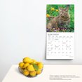 thumbnail image 4 of The Beauty of Cats | 2024 12x24" (Hanging) Wall Calendar | StarGifts, 4 of 9