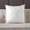 White, variant on Ovzne 17.7 X 17.7 Inches Pillow Core – Polyester Sofa Pillow Insert, Car Cushion Insert, Suitable For Home And Hotel Use