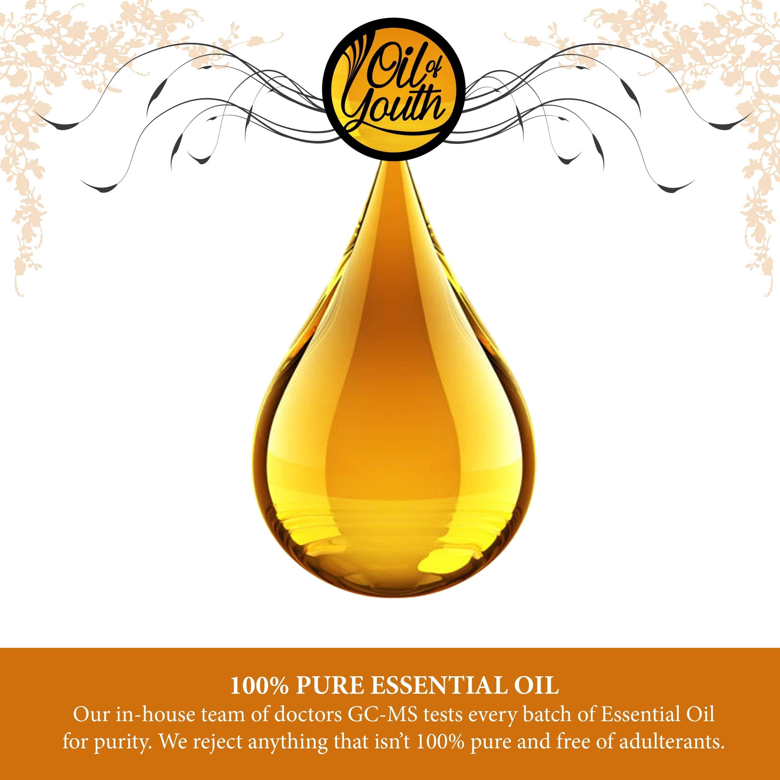 Oil of Youth Therapeutic Helichrysum Essential Oil, 16 fl oz