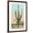 Brown Frame, variant on Art.com Giant Multi-Armed Saguaro Cactus Art Print, 24" x 36"
