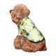 thumbnail image 5 of Balery Avocado for Exercise Sudadera con Capucha para Perros Pequeños – Ropa para Mascotas, Disfraz para Perros y Gatos, Ideal para Fiestas y Cosplay-Small, 5 of 7