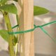 thumbnail image 3 of unbranded 500Ud Para Plantas De Jardín Material Flexible Para Sostener Ramas Y Entrenar Plantas, 3 of 6