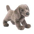 thumbnail image 1 of Peluche Douglas Cassie Weimaraner de 33 cm, 1 of 3