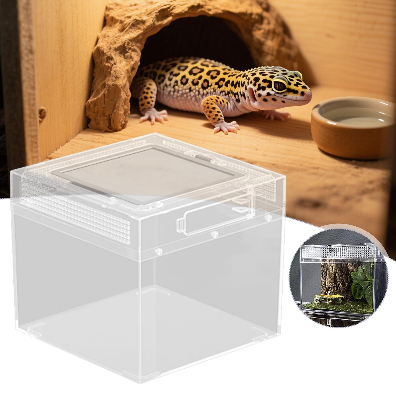 Bvdfgk Reptile Terrarium Clear Transparent Reptiles Cage for Frog Crayfish Tortoise M