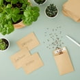 thumbnail image 3 of Juvale Seed Packets - 4.5 x 3.25 In, Brown, 100 Pack - Blank Seed Packets for Coins & Mini Parts Storage, DIY Craft Use, 3 of 10