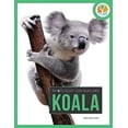 thumbnail image 2 of Spotlight on Nature Koala, (Paperback), 2 of 3