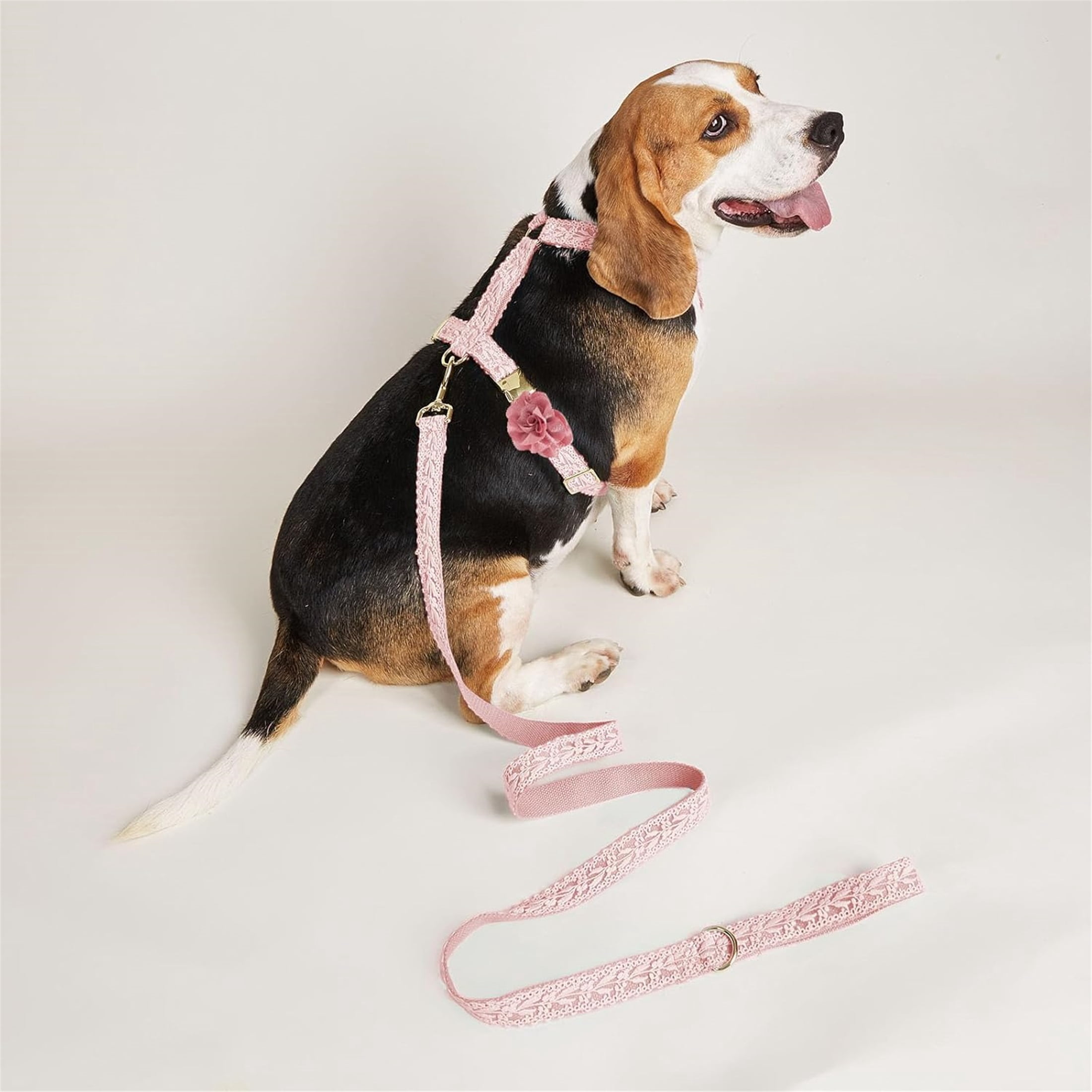 HQREA Embroidered Dog Harness and Leash Set, Easy Walk No Pull Dog Harness with Handle & Bow for Female Dogs