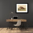 thumbnail image 4 of Mark Catesby 24x19 Black Modern Framed Museum Art Print Titled - The Hawks-Bill Turtle (Testudo Caretta) (1731-1743), 4 of 5