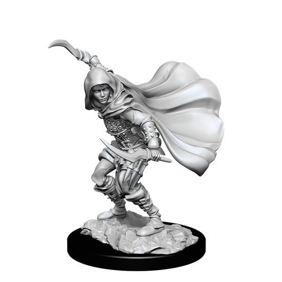 Pathfinder Battles Deep Cuts Unpainted Miniatures: Female Human Rogue