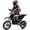 Black, variant on Faitaliicy Electric Dirt Bike Electric Motocross Off-Road Bike for Age 14+,36V Ride on Motorcycle 350W Brushless Motor Fast Speed 15.5MPH with LED Headlight, Leather Seat,Front+Back Brake for Teens