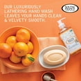 thumbnail image 7 of South of France Orange Blossom Honey Hand Wash 8 Oz (Pack of 2), 7 of 7
