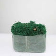 thumbnail image 2 of Artificial Dried Moss Decor Flower Hanging Baskets Plant, 2 of 6