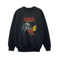 thumbnail image 1 of DC Comics Chandail en Molleton Garçon Batman et Robin, 1 of 4