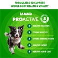 thumbnail image 5 of IAMS Proactive Health Minichunks Premium Dry Dog Food, Adult Dog Food Dry Recipe, 30 lb. Bag, 5 of 12