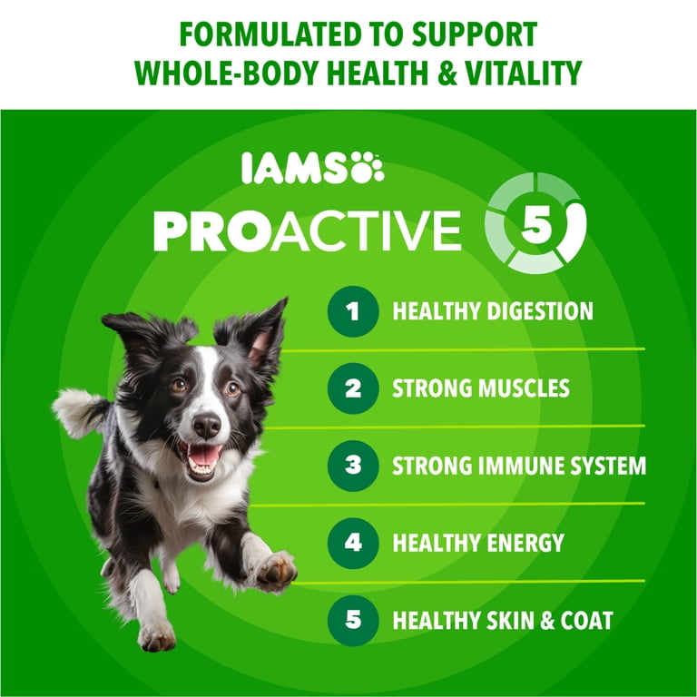 IAMS, Dry Dog Food, Minichunks 30 lb, with Real Chicken - Walmart.com