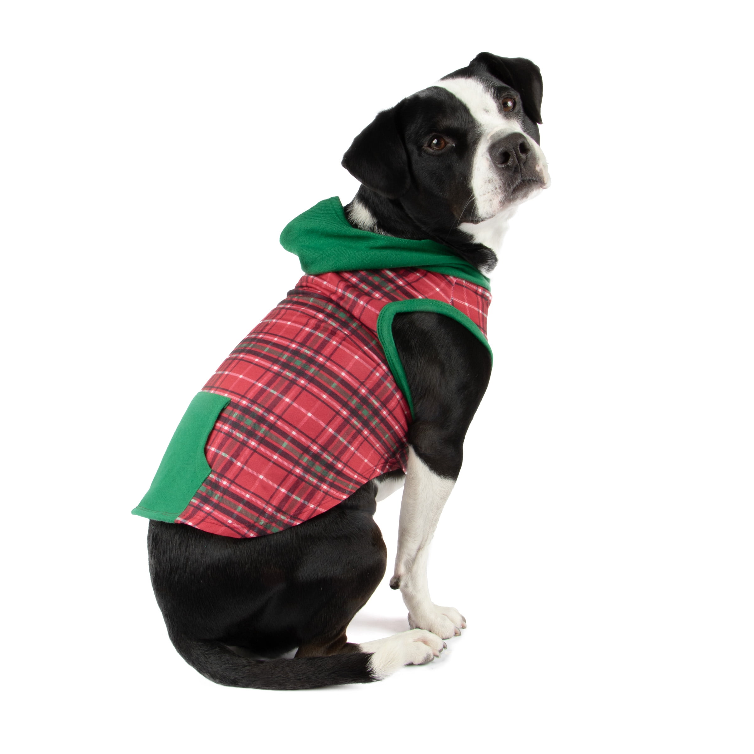 How Tight Should A Dog Sweater Be