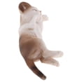 thumbnail image 1 of tredstone Simulation Animal Model Kids Educational Toys panda side sleeping PL127-1514, 1 of 9