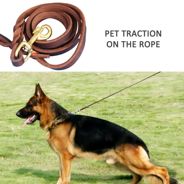 How to leash train a german clearance shepherd puppy