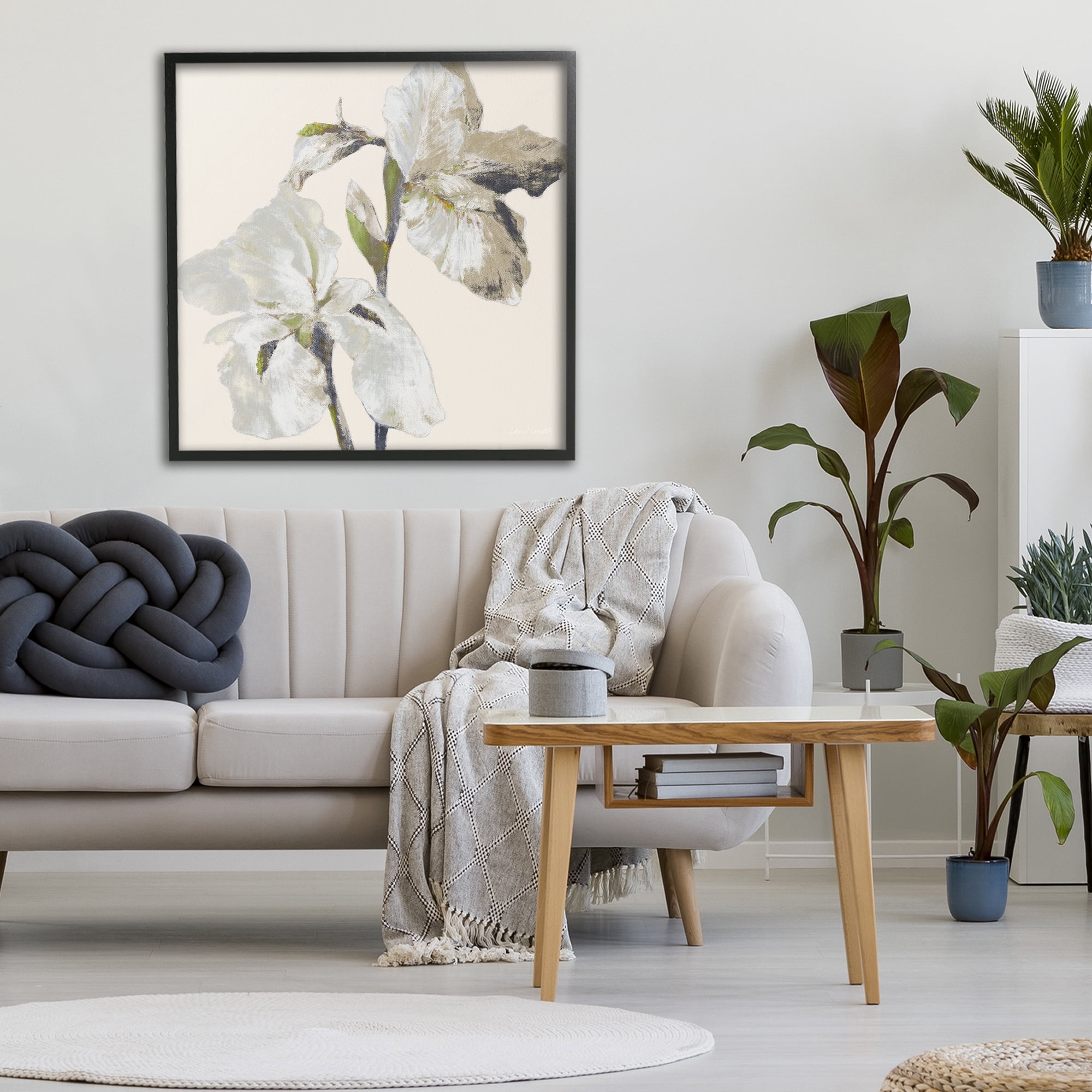 Stupell Industries Irises Soft Beige Black Framed Giclee Art, design by Lanie Loreth
