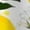 A468-2673, variant on Lemons Leaves Flowers White Background Casual Sleeveless Loose Sundress Dress For Women Summer Dress Daily Woman