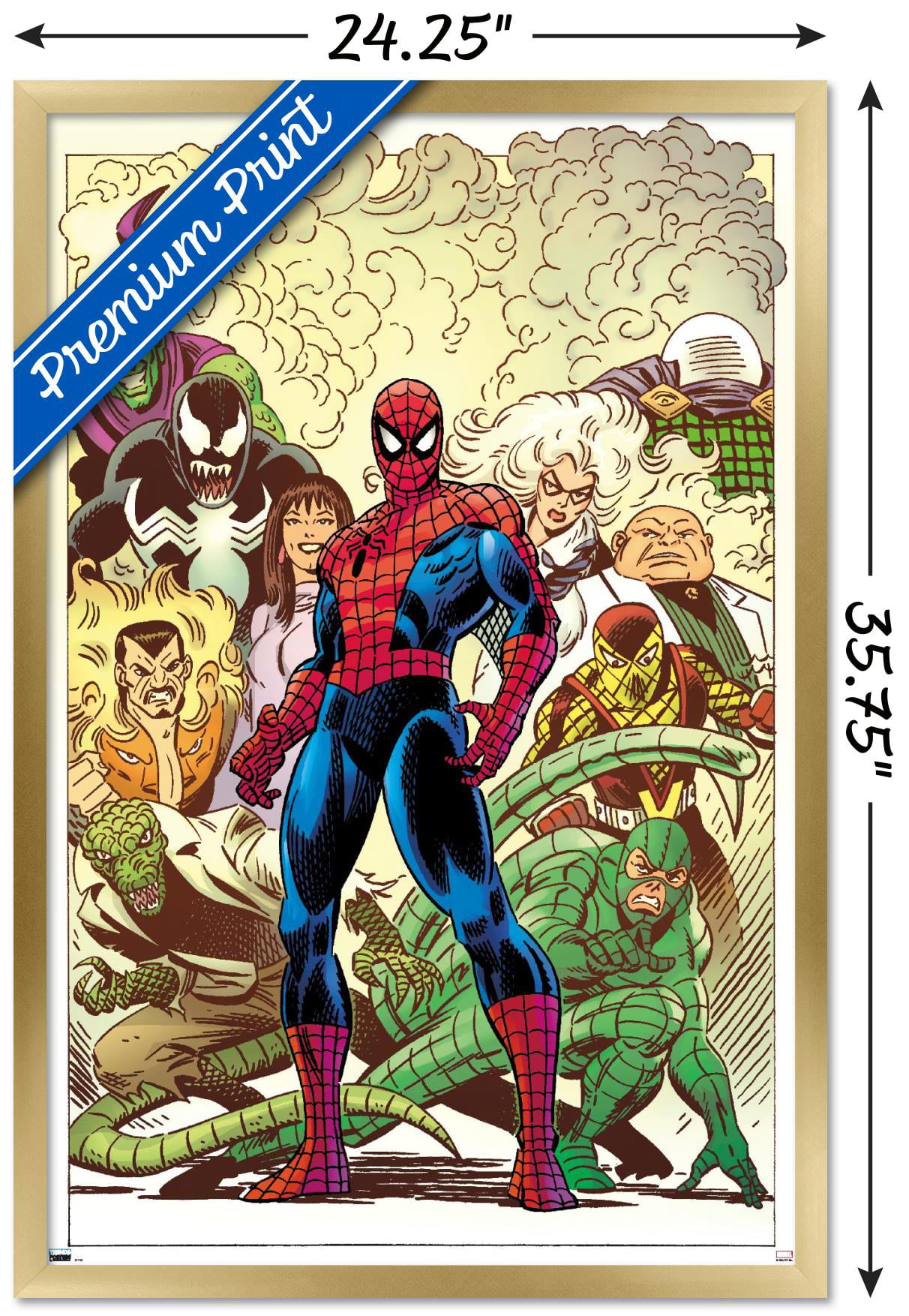 Marvel Comics - Spider-Man - The Amazing Spider-Man #1 Wall 