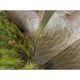 thumbnail image 4 of Ambesonne Hedgehog Quilted Bedspread Set 3 Pcs, Eastern Europe Scene, Queen Size, Green Brown, 4 of 5