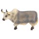 thumbnail image 2 of Juguete educativo Bos Grunniens de 5,6 ' Perfke Juguete de figuritas de animales, 2 of 9