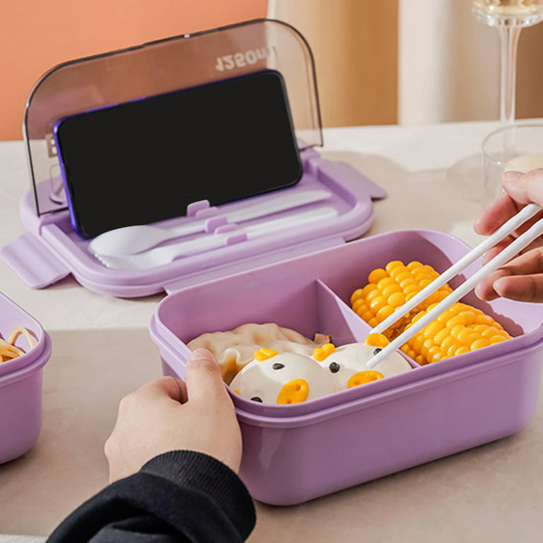 Plastic School Lunch Box, Microwave Food Container