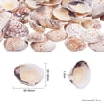 thumbnail image 3 of 50 Piezas Concha de Playa Granel Sunnimix Joyas de Bricolaje, 3 of 8