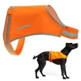 thumbnail image 1 of Chaleco para perros SafetyPup XD Lite Blaze naranja reflectante grande, 1 of 8